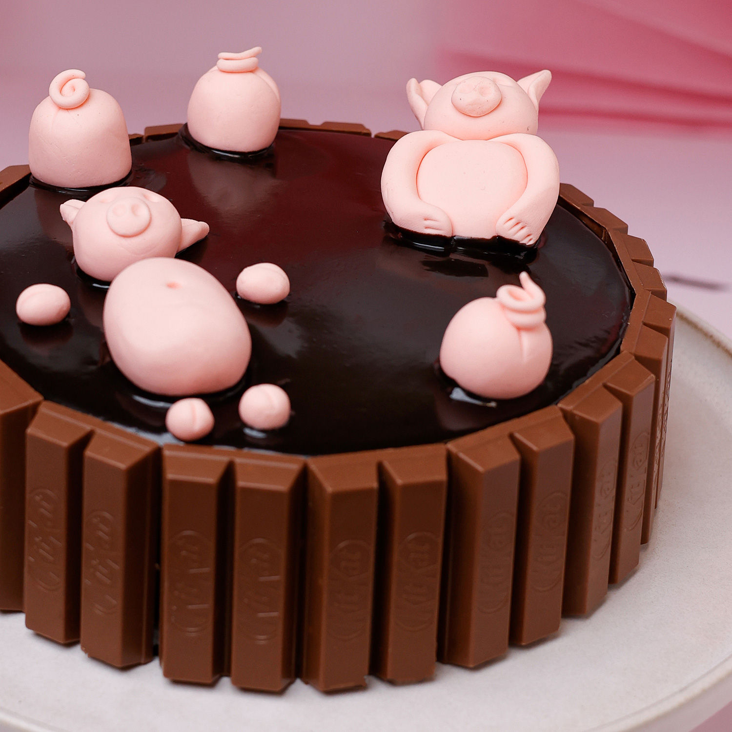 Cute Pigs Choco Mud Cake | Cake2homes
