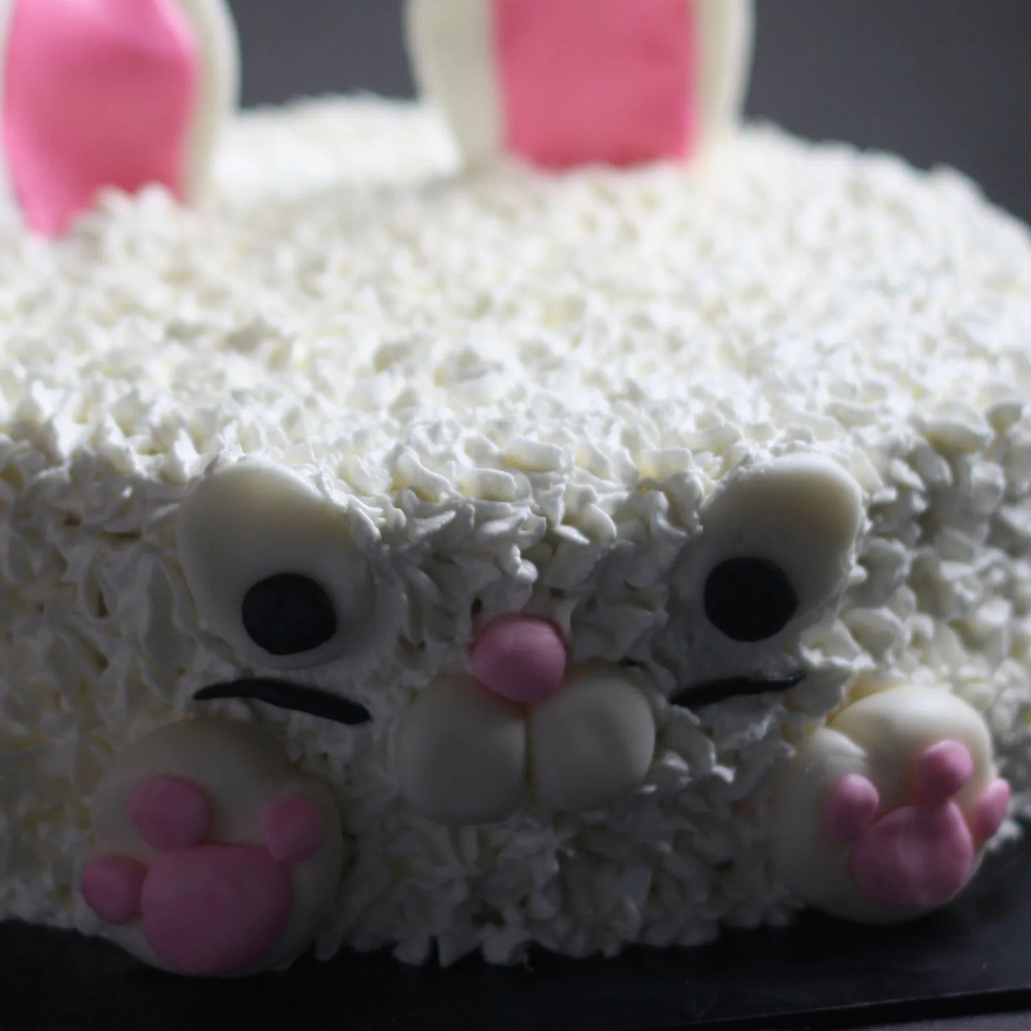 Bunny Chocolate Cake | Cake2homes