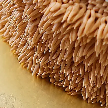 Adorable Kid's Cake | Cake2homes