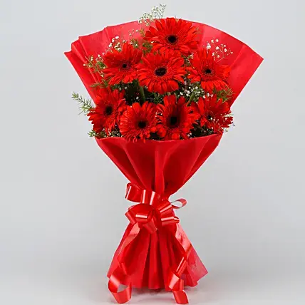 Red Elegance Gerbera Bouquet | Cake2homes
