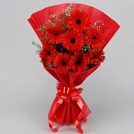 Red Elegance Gerbera Bouquet | Cake2homes