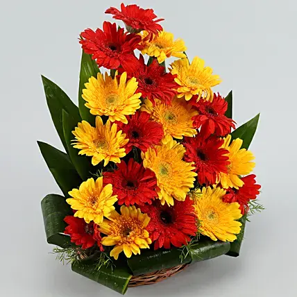 Beautiful Red & Yellow Gerberas Arrangement | Cake2homes