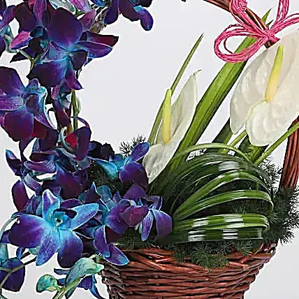 Basket of Blue Orchids & Anthuriums | Cake2homes