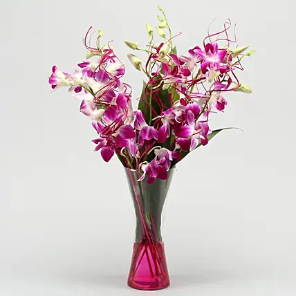 Vibrant Purple Orchid Bunch | Cake2homes