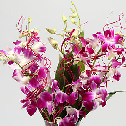 Vibrant Purple Orchid Bunch | Cake2homes
