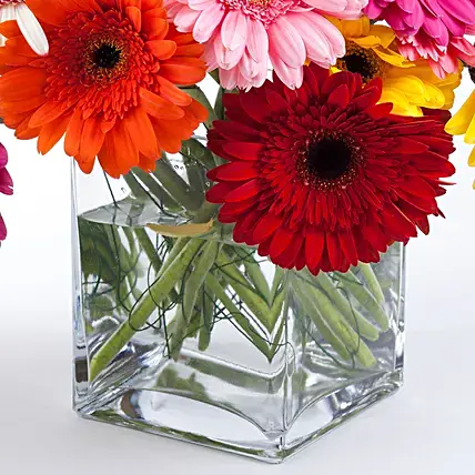 Elegant Gerberas In Glass Vase | Cake2homes
