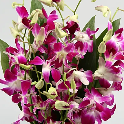 Gorgeous Purple Orchid Bunch | Cake2homes