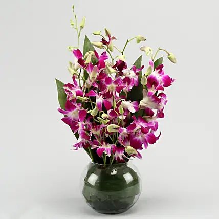 Gorgeous Purple Orchid Bunch | Cake2homes