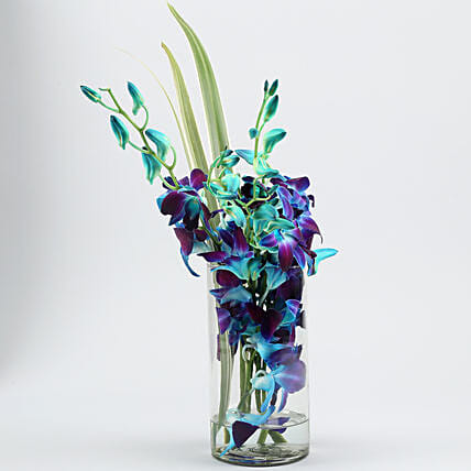 Lovely Orchids & Dandella In Cylindrical Vase | Cake2homes