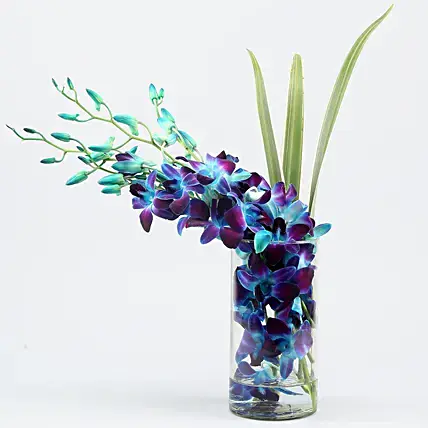 Lovely Orchids & Dandella In Cylindrical Vase | Cake2homes