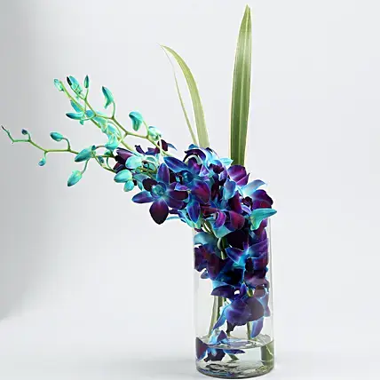 Lovely Orchids & Dandella In Cylindrical Vase | Cake2homes