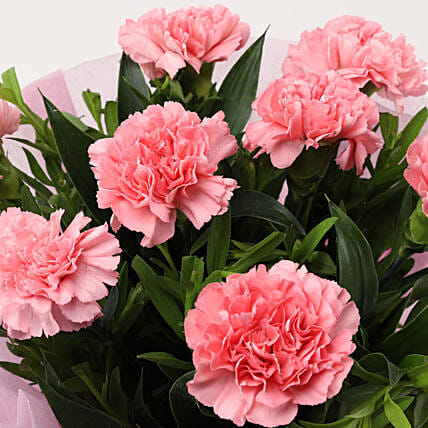 Beautiful 8 Pink Carnations Bouquet | Cake2homes