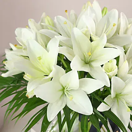 Pure White Asiatic Lilies In Fishbowl Vase | Cake2homes