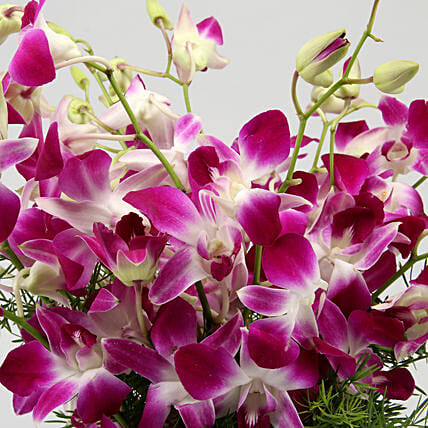 Stunning Purple Orchid Bunch | Cake2homes