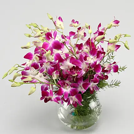 Stunning Purple Orchid Bunch | Cake2homes