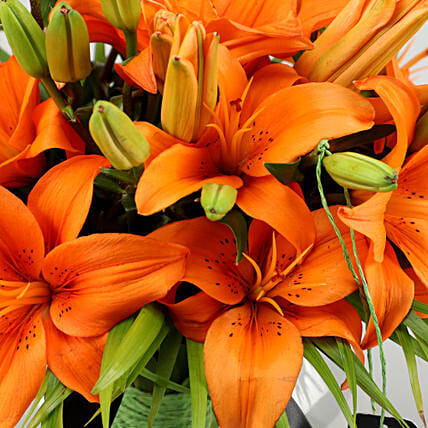 Blissful Orange Lilies In Fishbowl Vase | Cake2homes