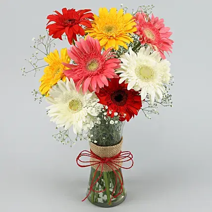 Mixed Brilliance Gerbera Vase | Cake2homes