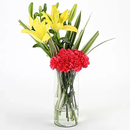 Carnations & Lilies Vase Arrangement | Cake2homes