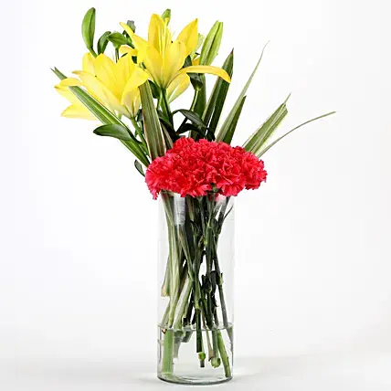 Carnations & Lilies Vase Arrangement | Cake2homes