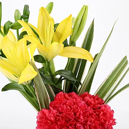 Carnations & Lilies Vase Arrangement | Cake2homes