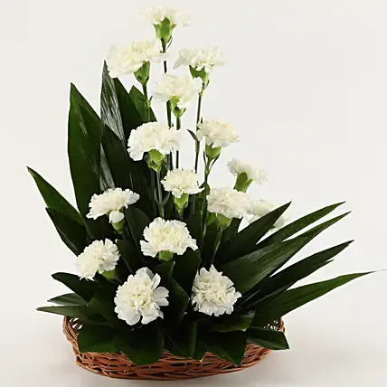 White Carnations Cane Basket Arrangement | Cake2homes