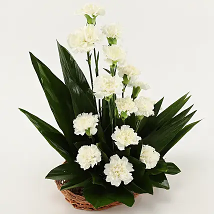 White Carnations Cane Basket Arrangement | Cake2homes