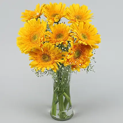 Yellow Mystique Gerbera Vase | Cake2homes