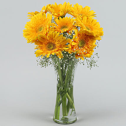 Yellow Mystique Gerbera Vase | Cake2homes