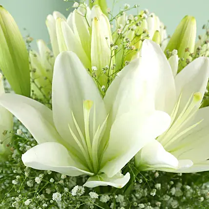 Blooming Asiatic Lilies In Black Ribbon Tied Vase | Cake2homes