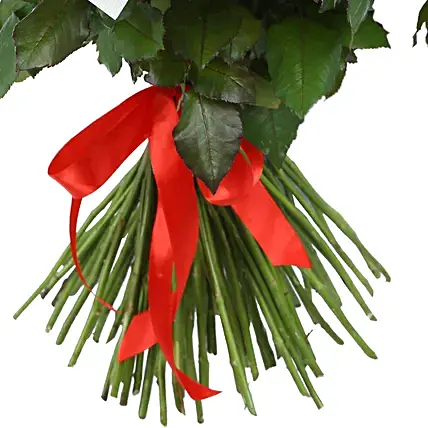 Scarlet Rose Fantasy Bouquet | Cake2homes