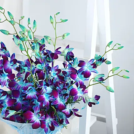 Colours Of Galaxy Orchids Bouquet | Cake2homes
