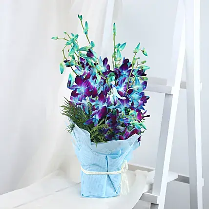 Colours Of Galaxy Orchids Bouquet | Cake2homes