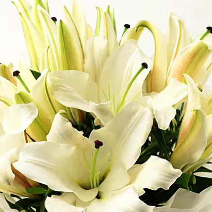 Serene White Oriental Lilies Bouquet | Cake2homes