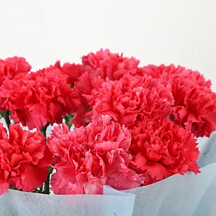 Adorable Pink Carnations Bouquet | Cake2homes