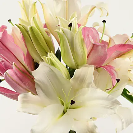 Pink & White Oriental Lilies in Glass Vase | Cake2homes