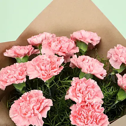Perfect 12 Light Pink Carnations Bouquet | Cake2homes
