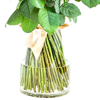 Ardent Red Roses Vase | Cake2homes