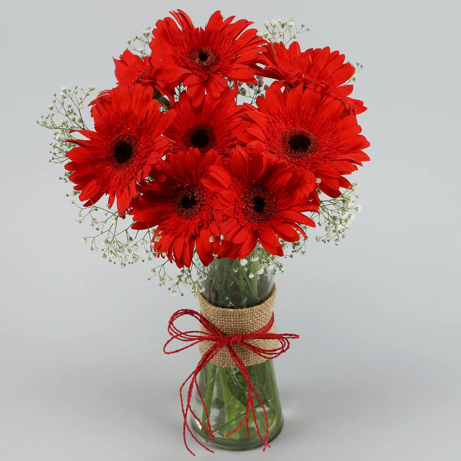 Red Elegance Gerbera Vase | Cake2homes
