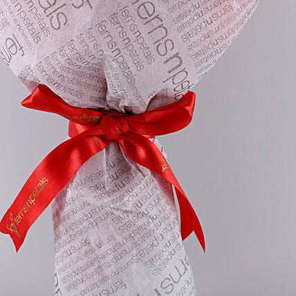 Appealing Red Roses Double Wrapped Bouquet | Cake2homes