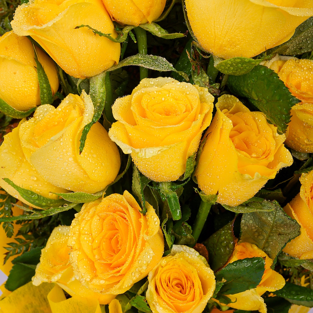 Stunning Yellow Roses Bunch | Cake2homes
