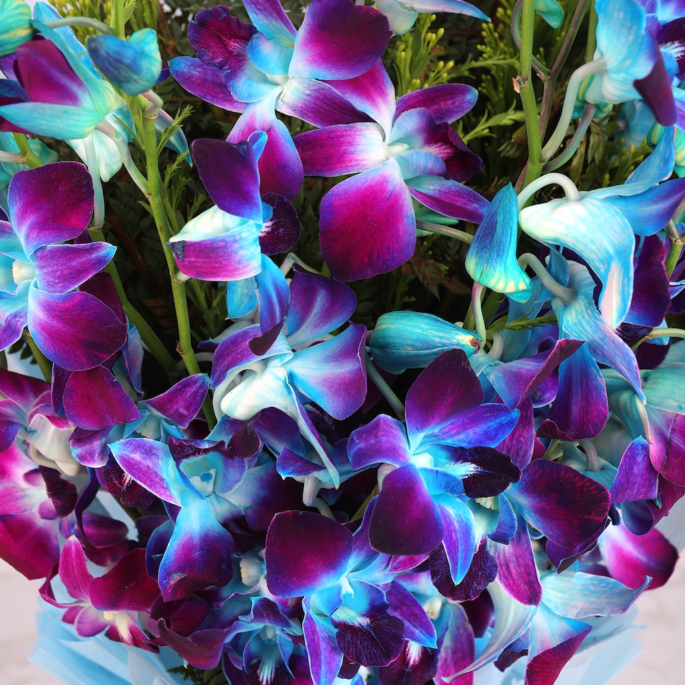 Enchanted Bloom Standard | Cake2homes