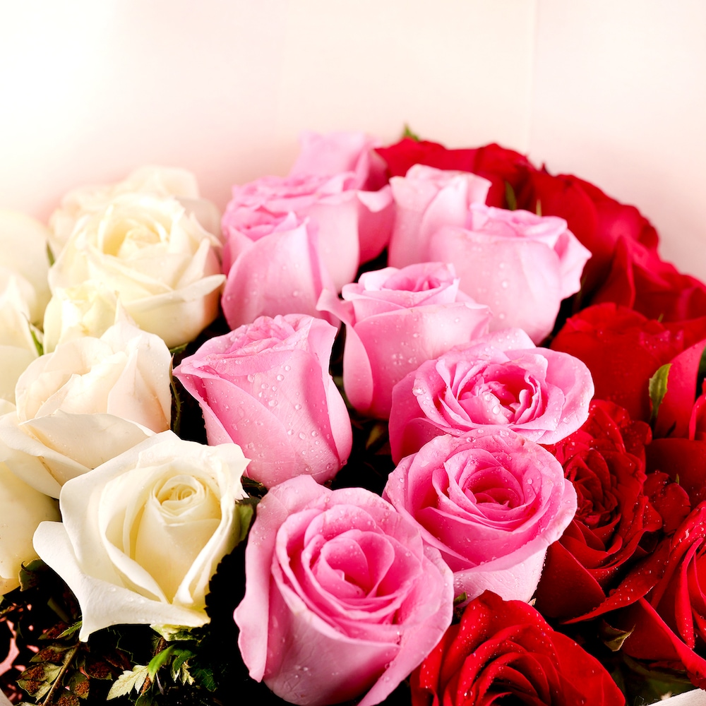 Special Mix Roses Bunch | Cake2homes