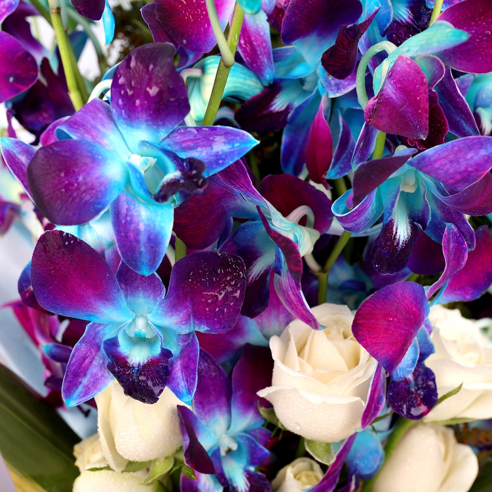 Love And Emotions Orchid | Cake2homes