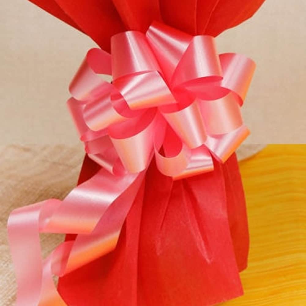 10 Red And Pink Roses | Cake2homes