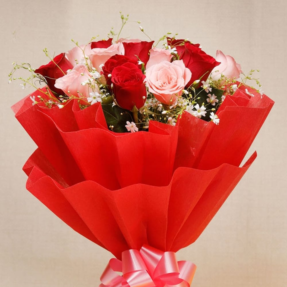 10 Red And Pink Roses | Cake2homes