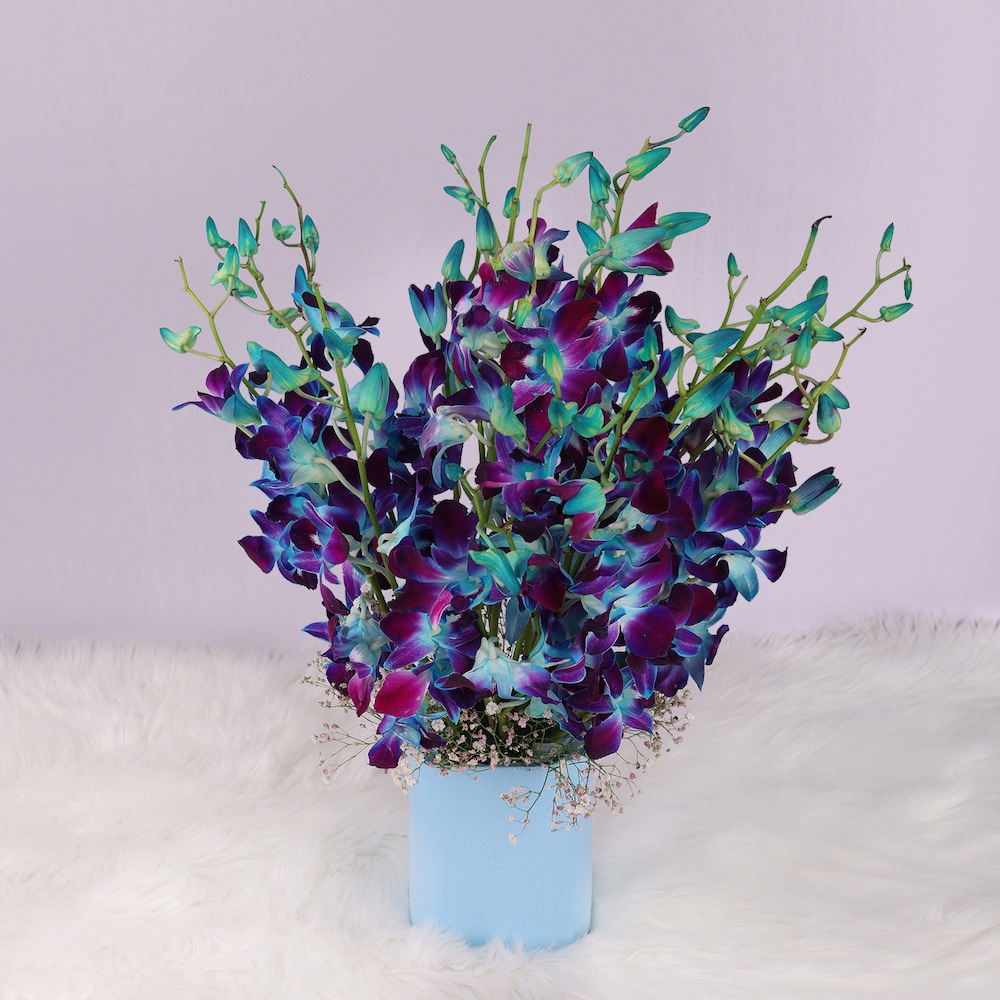 Mesmerising Blue Orchids Vase | Cake2homes