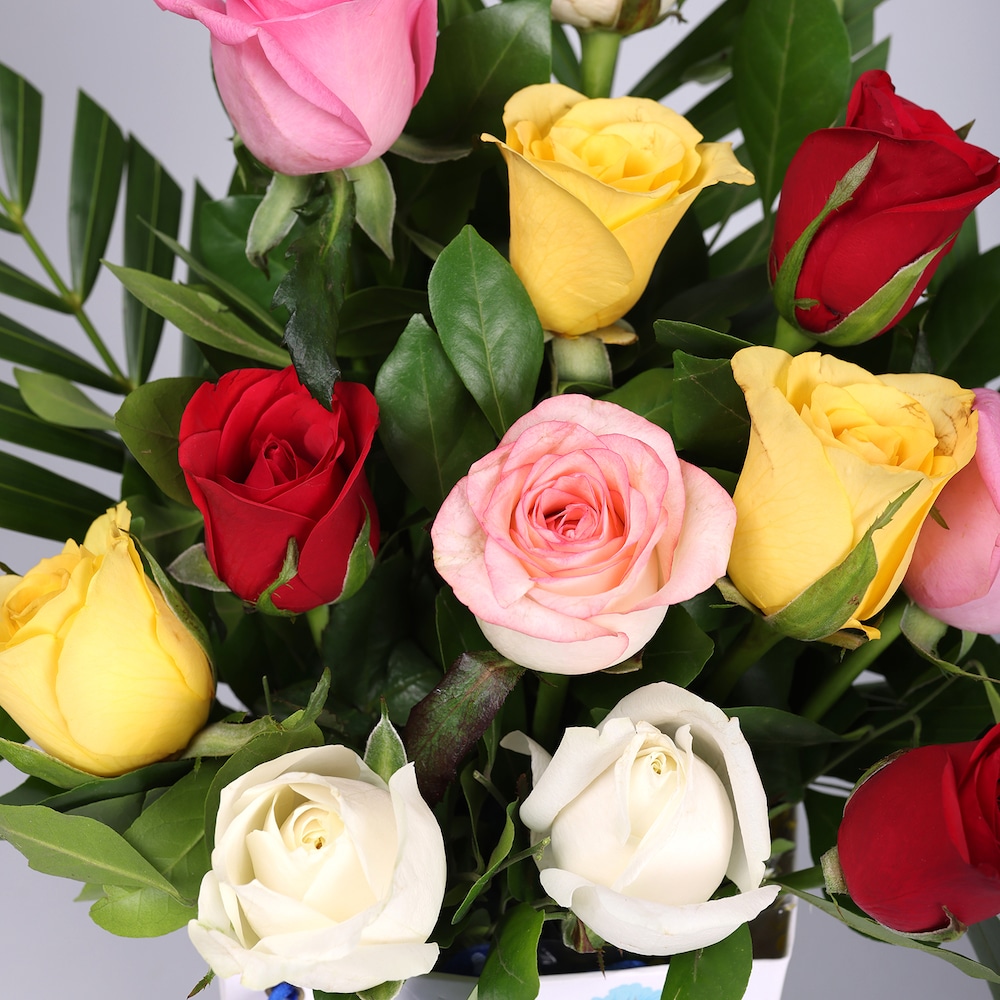 Vibrant Mix Roses | Cake2homes