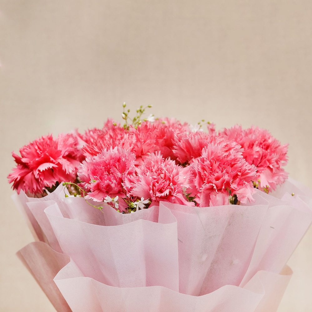 Pink Carnations In Pink Packing | Cake2homes