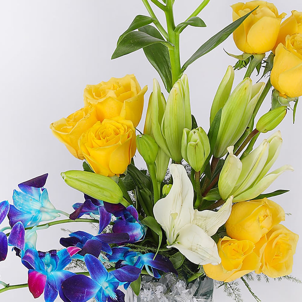 Blissfull Lillies | Cake2homes