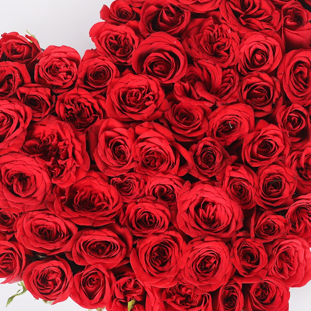 Affection With Rose | Cake2homes